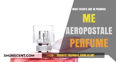 Unveiling the Aromatic Notes in Promise Me Aeropostale Perfume