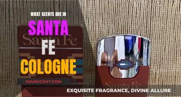 Santa Fe Cologne: Exploring the Notes and Scents