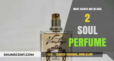 Soul 2 Soul Perfume: Unveiling Its Captivating Aromatic Notes and Scents