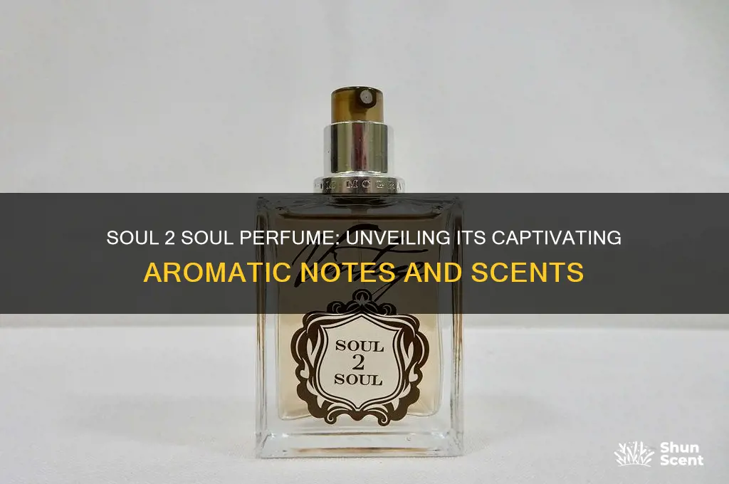 what scents are in soul 2 soul perfume