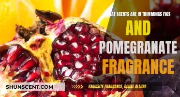 The Sweet and Tangy Scents of Figs and Pomegranates