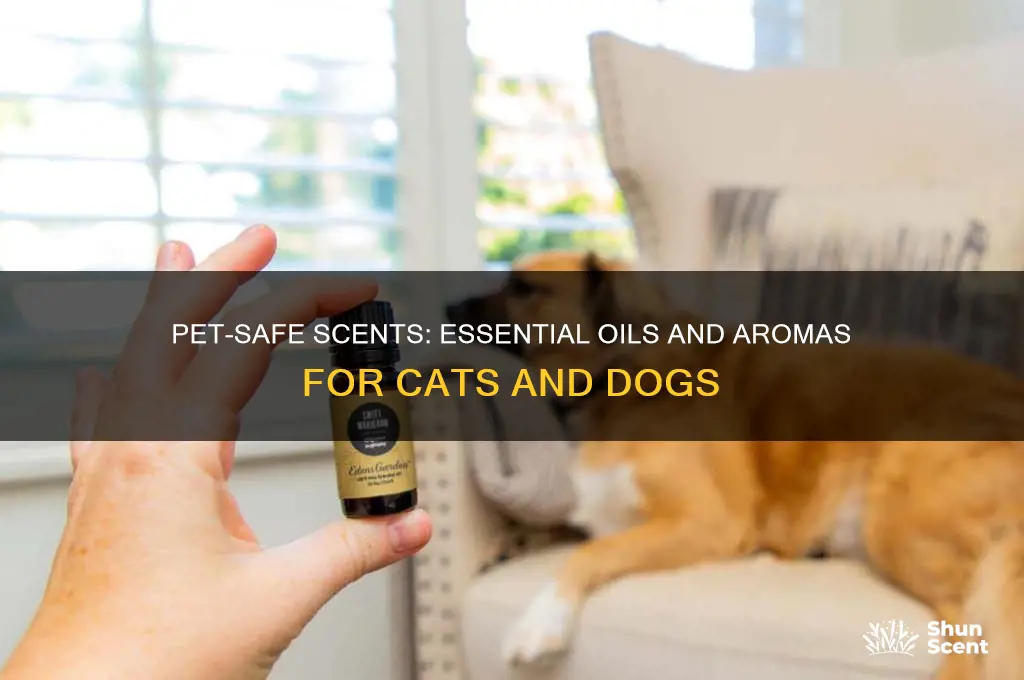what scents are safe for cats and dogs