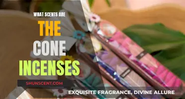 Explore Cone Incense Scents for a Fragrant Journey