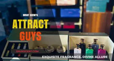 Irresistible Aromas: Scents That Naturally Attract Men's Attention