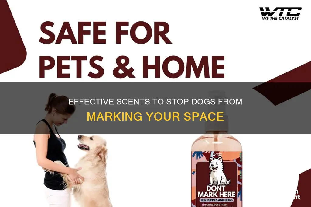 what scents deter dogs from peeing