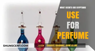 Ancient Egyptian Perfumes: Unveiling the Fragrant Secrets of the Nile