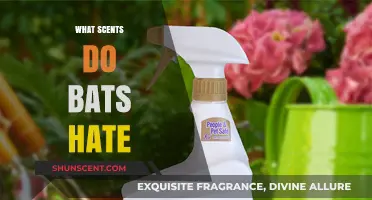 Uncover the Smells That Repel Bats: A Comprehensive Guide