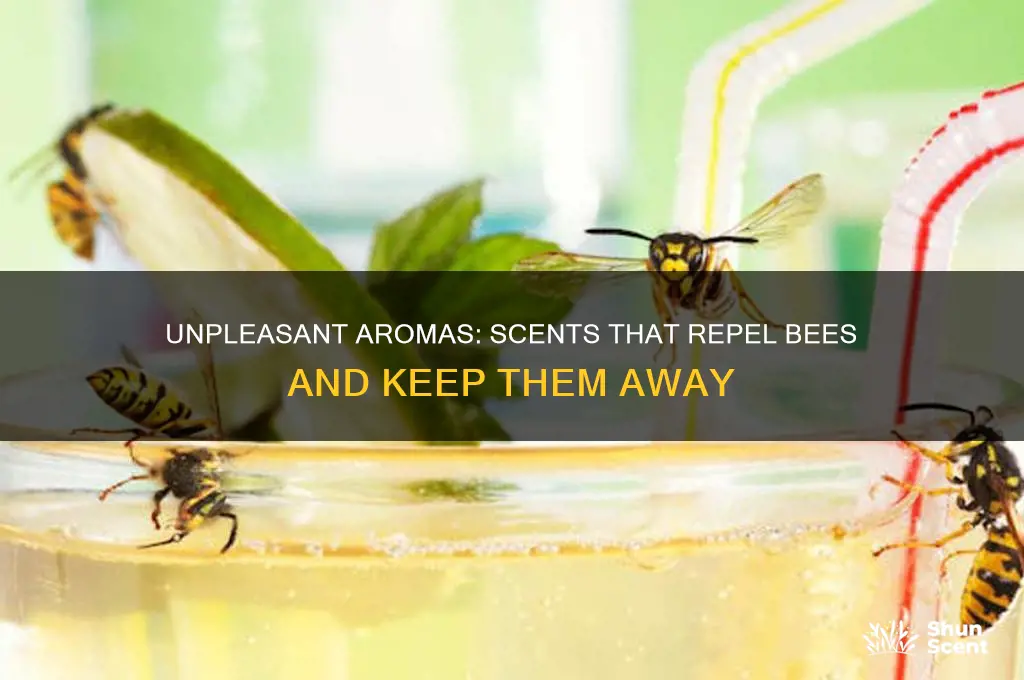 what scents do bees hate