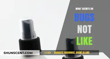 Natural Bug Repellents: Scents That Keep Insects at Bay