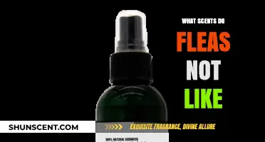Natural Flea Repellents: Scents Fleas Hate to Keep Pets Pest-Free