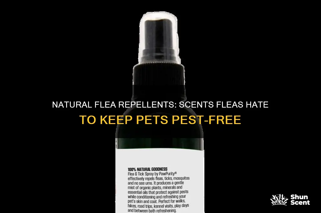 what scents do fleas not like