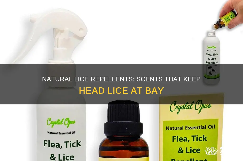 what scents do lice hate