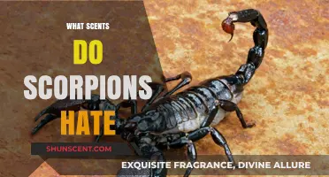 Scorpion Repellents: Unveiling the Scents That Keep Scorpions at Bay