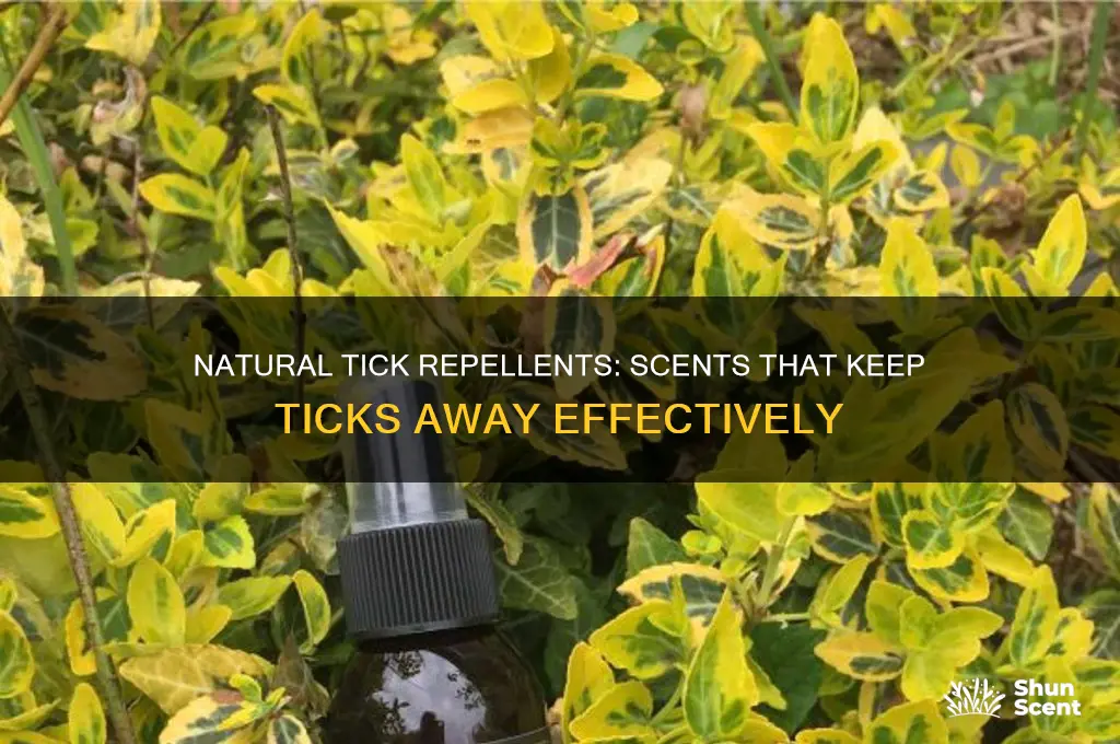 what scents do ticks hate