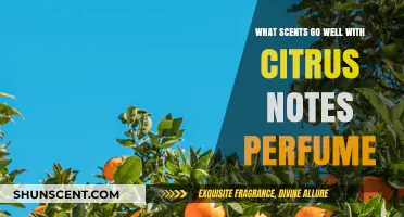 Citrus Harmony: Best Scents to Complement Your Citrus Notes Perfume