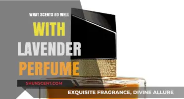 Enhance Your Lavender Perfume: Best Complementary Scents to Pair With
