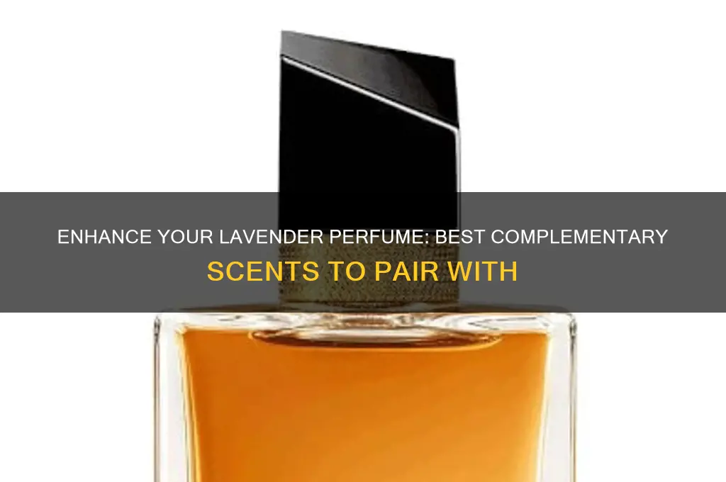 what scents go well with lavender perfume