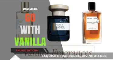Perfect Pairings: Scents That Complement Vanilla in Candles, Perfumes, and More