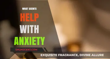 Calming Aromas: Scents to Ease Anxiety and Promote Relaxation