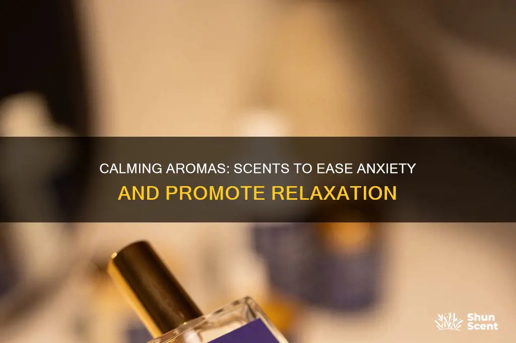 what scents help with anxiety