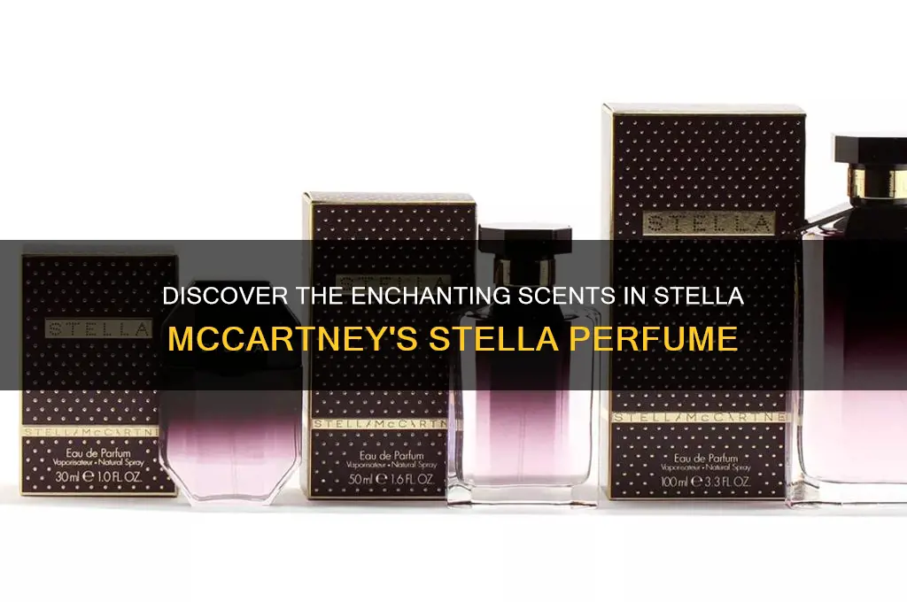 what scents in stella mccartney stella perfume
