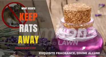 Effective Natural Scents to Repel Rats and Protect Your Home