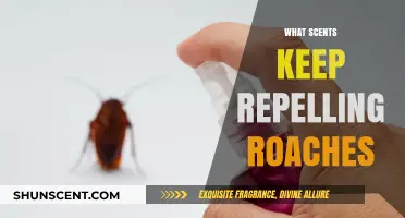 Effective Roach Repellents: Scents That Keep Cockroaches at Bay