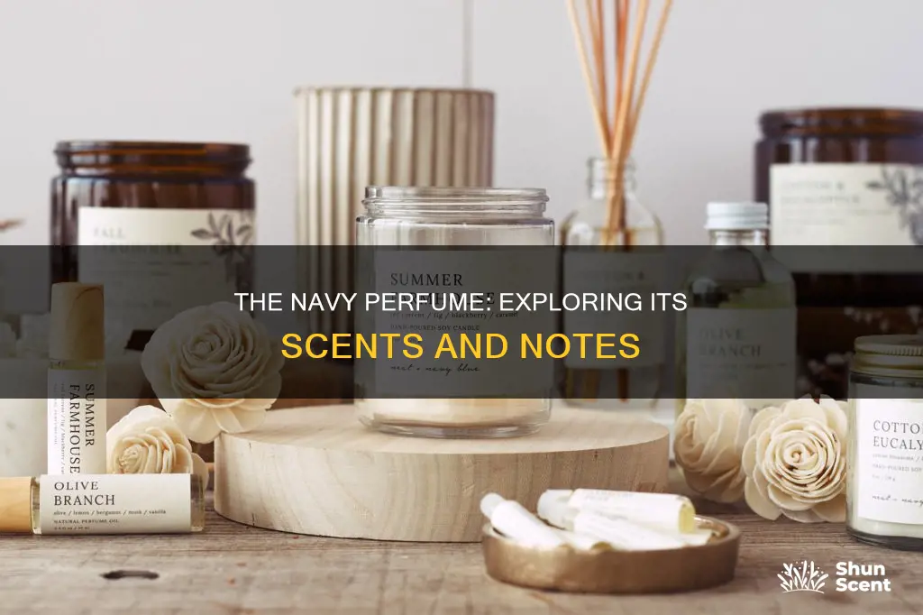 what scents make up navy perfume