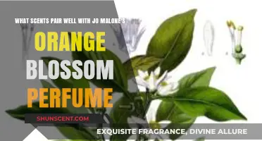 Enhance Your Scent: Perfect Pairings for Jo Malone's Orange Blossom