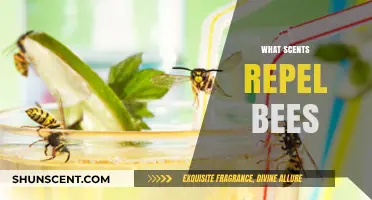 Natural Bee Repellents: Scents to Keep Bees at Bay Safely