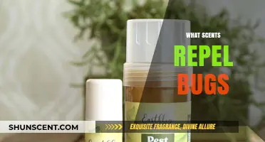 Natural Bug Repellents: Scents That Keep Insects at Bay