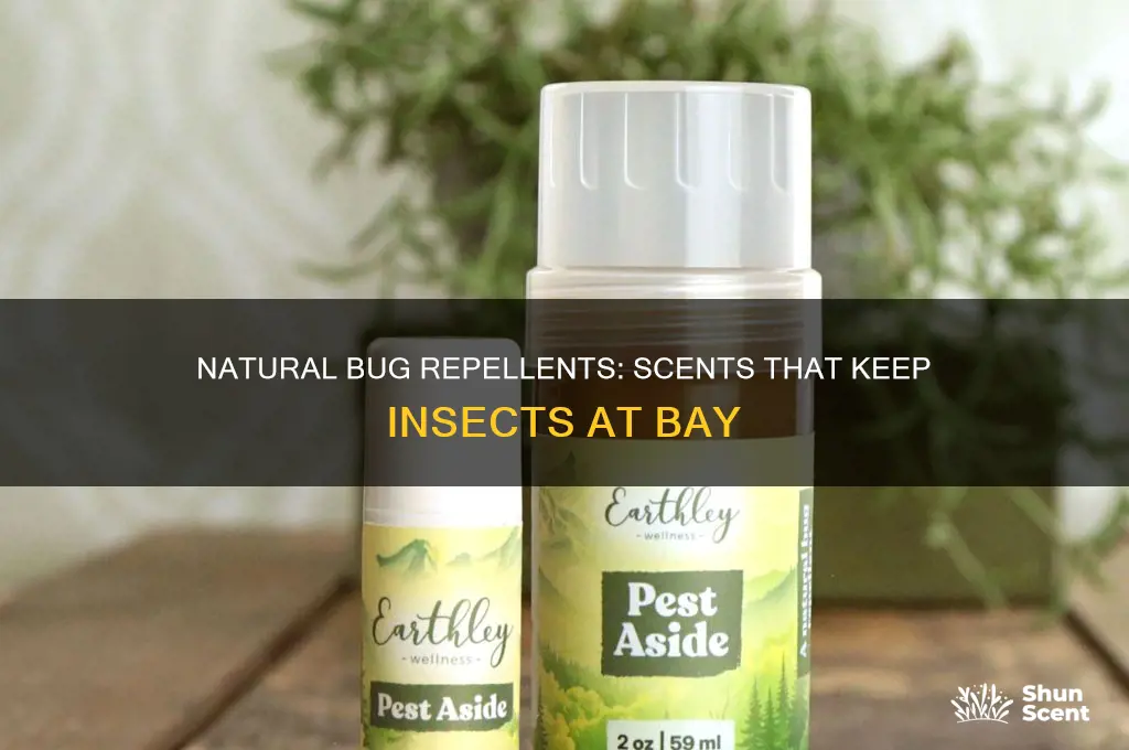 what scents repel bugs