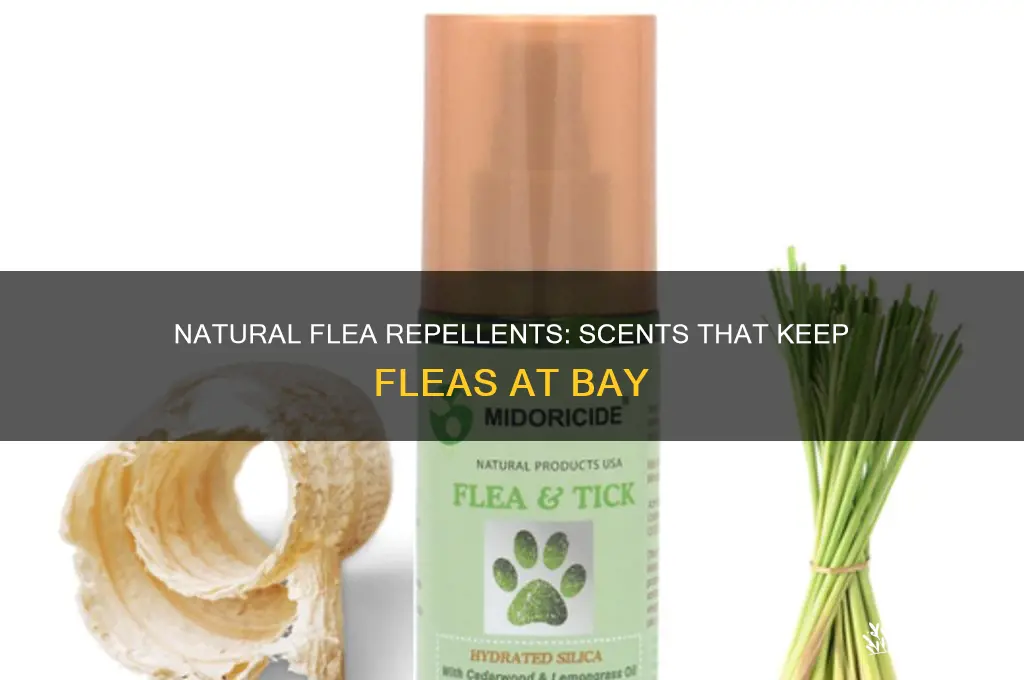 what scents repel fleas