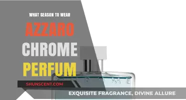 When to Wear Azzaro Chrome: Seasonal Guide to This Iconic Fragrance