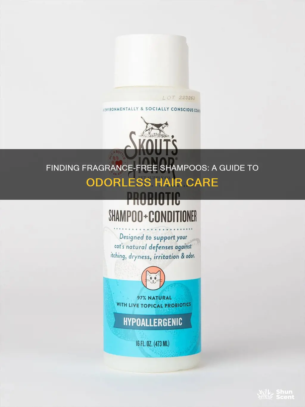 what shampoo has no fragrance