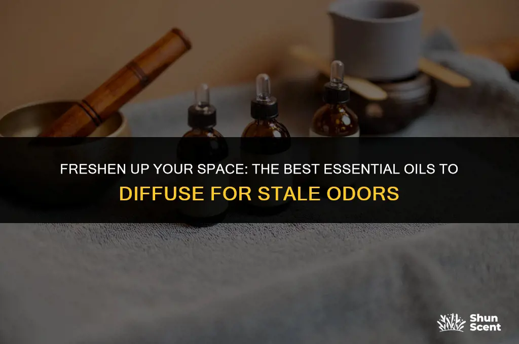 what should i diffuse to get rid of stale odors