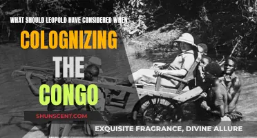 Leopold's Congo: Ethical Considerations for Colonization