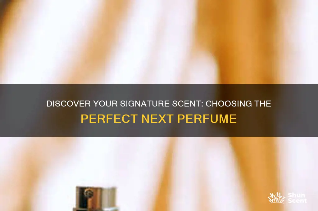 what should my next perfume be
