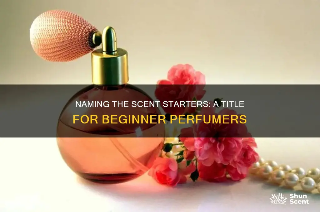 what should novice perfumers be called