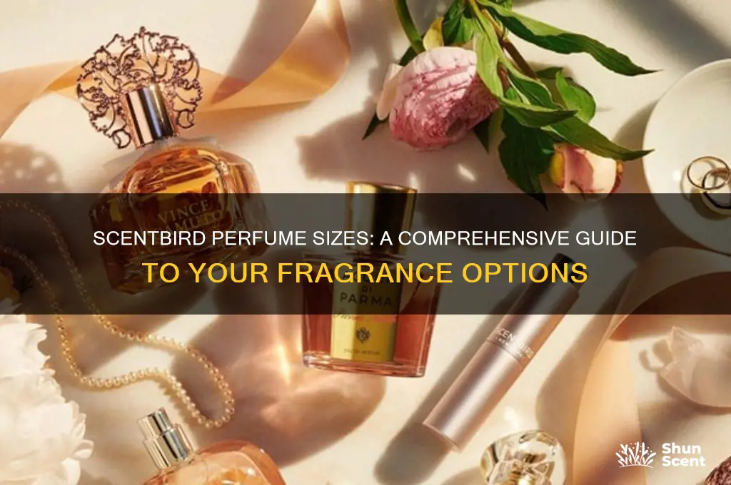 what size are scentbird perfumes