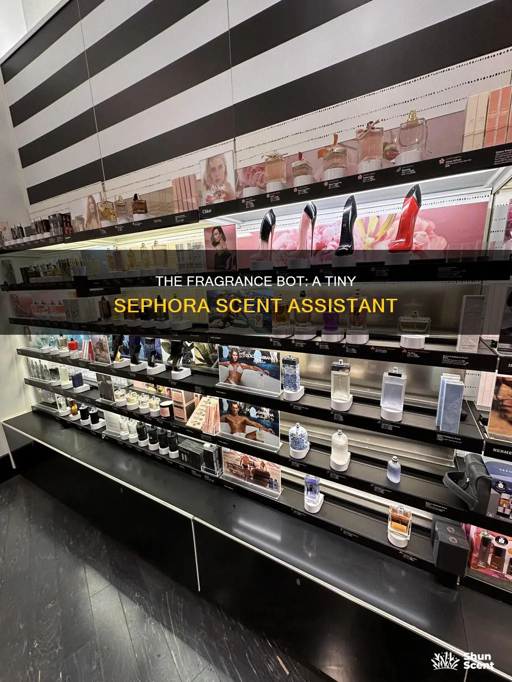 what size are sephora fragrance bot