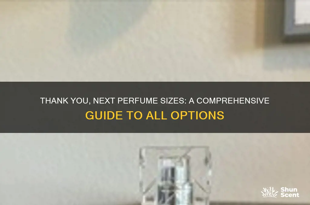 what size does the thank you next perfume comes on