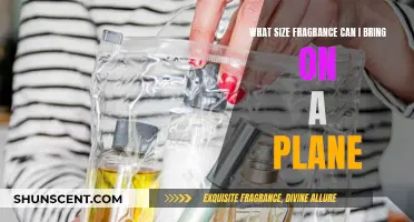 Understanding TSA Rules for Carrying Fragrances Onboard