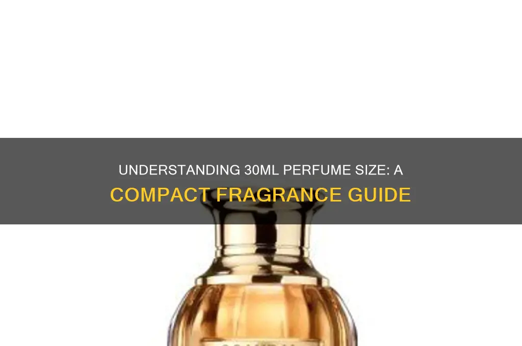 what size is 30ml perfume