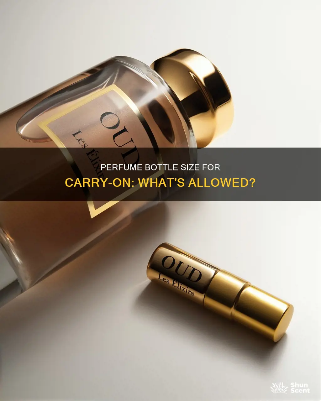 what size perfume bottle can i bring on a plane