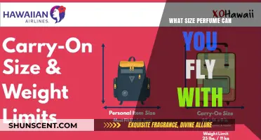 Perfume Packing: Flying with the Right Size