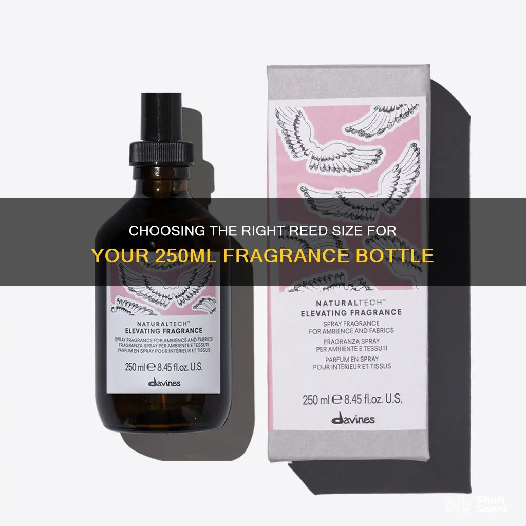 what size ree to use with 250ml bottle fragrance