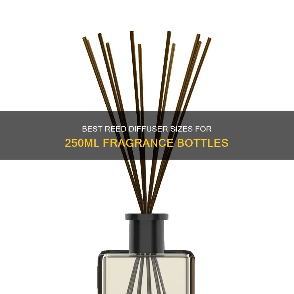 what size reed diffusers to use with 250ml bottle fragrance