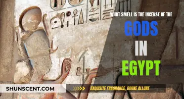 Incense of the Gods: Scents of Ancient Egypt