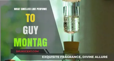 The Scent of Mystery: Montag's Perfume Trail